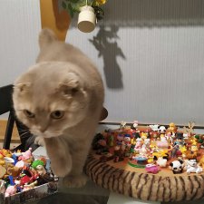 Мини и микро игрушки. Моя коллекция