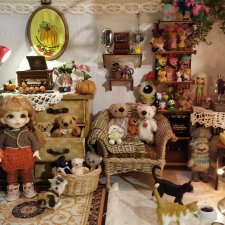 Осень на моей полке