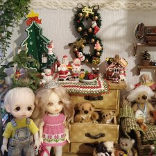 Зима на моей полке