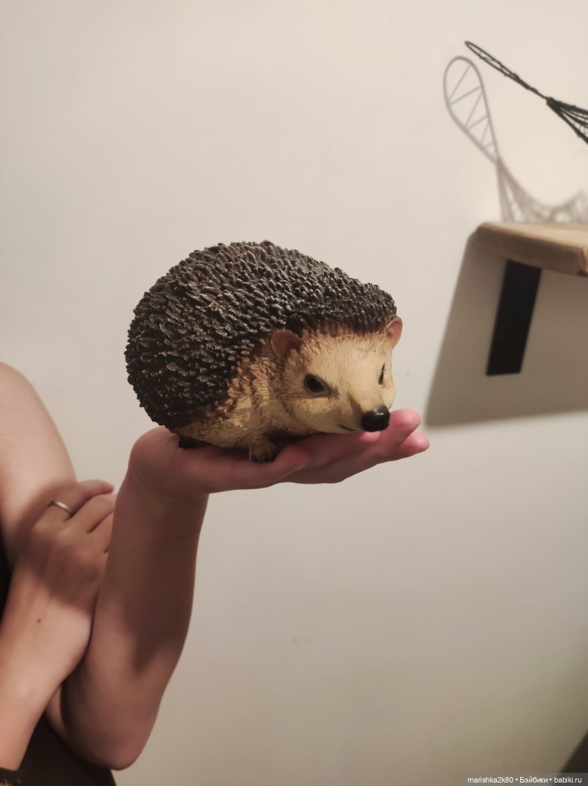 Итоги 2024 года. Мои покупки