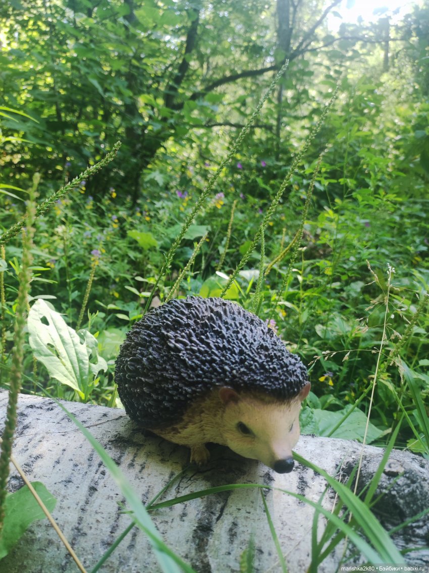 Итоги 2024 года. Мои покупки