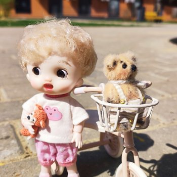 Жизнь моих кукол.