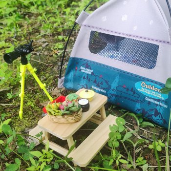 Куклы в походе