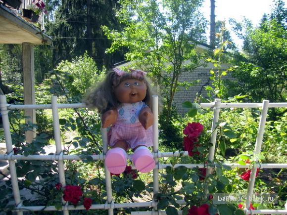Лето в разгаре. Все на дачу (фото 6)