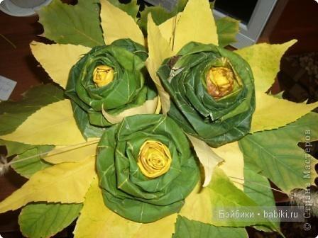 кабачковый домик