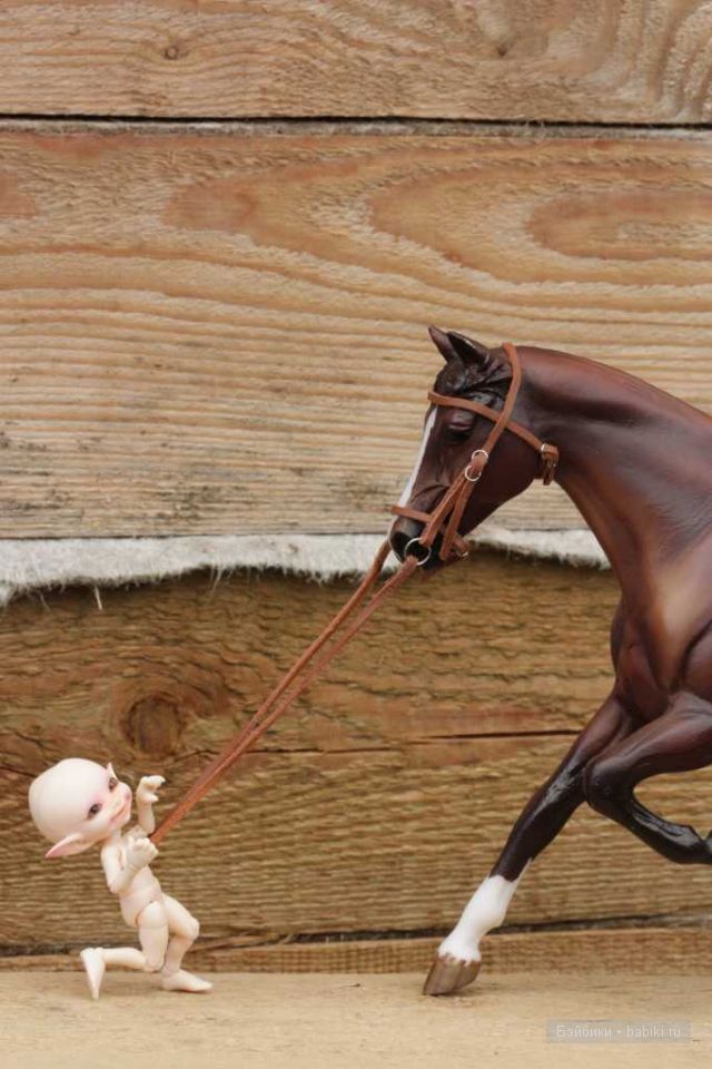 Коллекционные лошади Коллекционные лошади