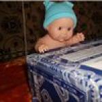 Наши новенькие малыши