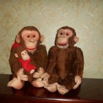 Обезьянка по имени Ник