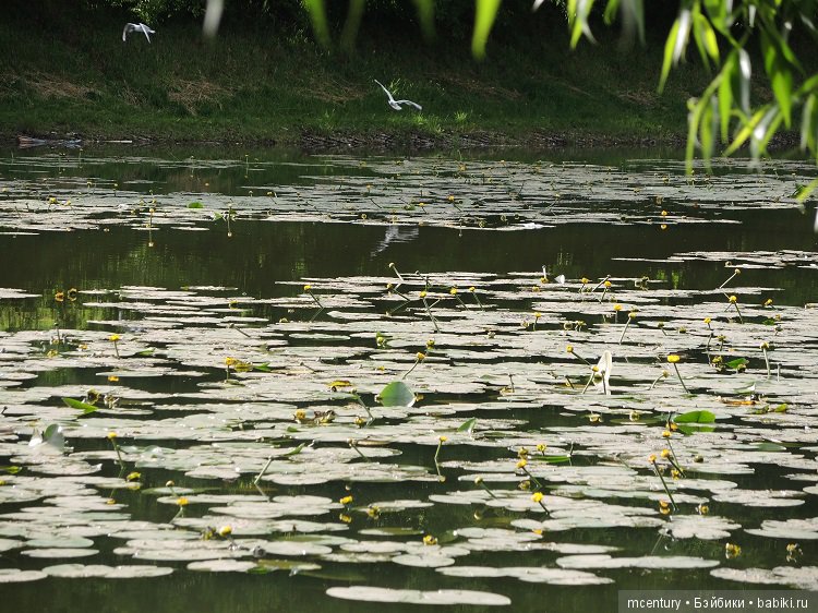 Куклы Lori, маленький народец