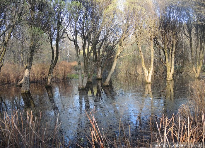 Куклы Lori, маленький народец (фото 5)