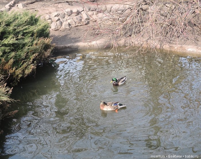 Куклы Lori, маленький народец