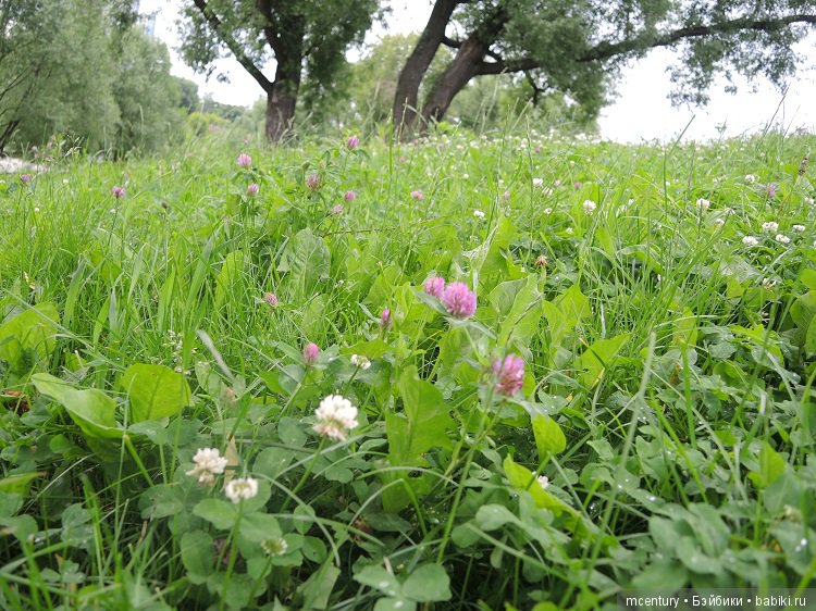 Куклы Lori, маленький народец