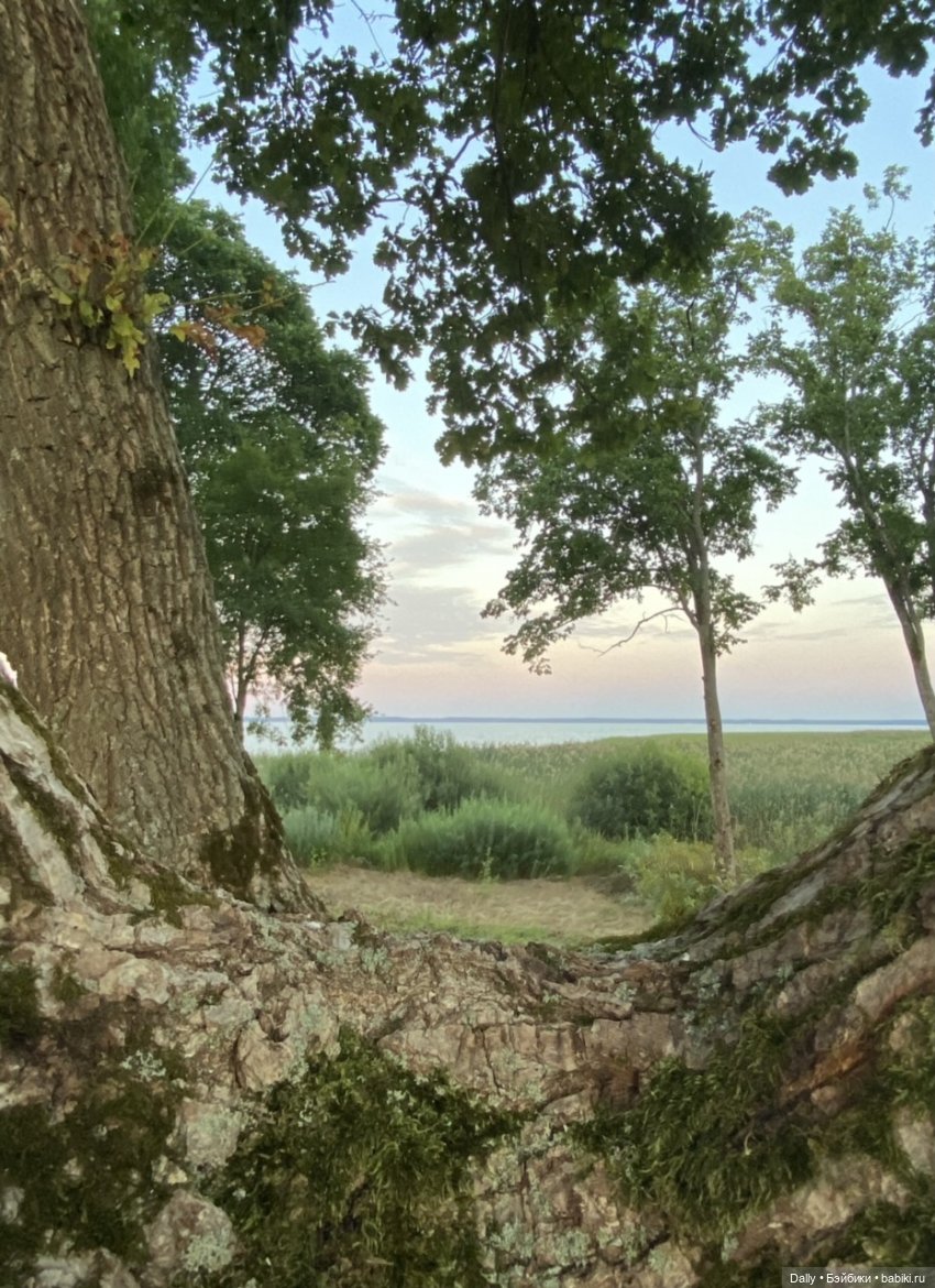 Озеро Жижицкое — Туризм и путешествия: фотоотчеты из поездок (фото 10)