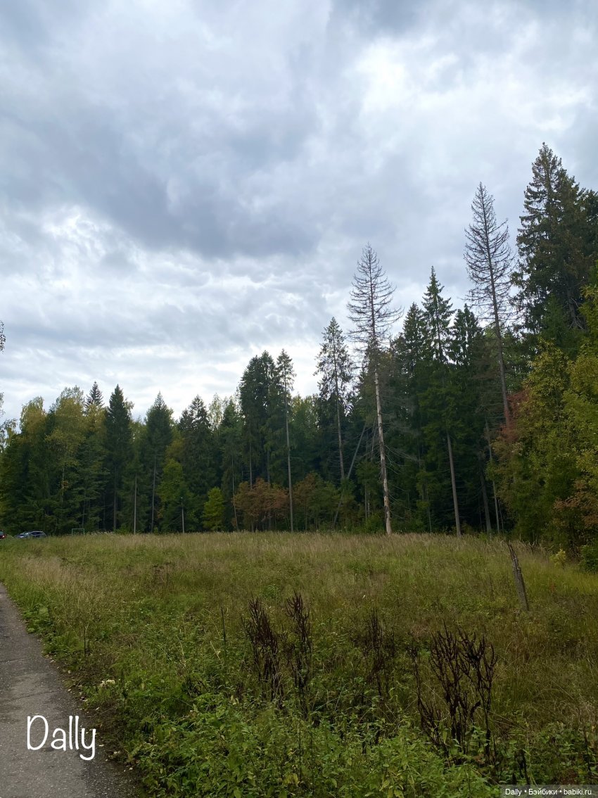 В сыром и темном лесу — Куклы Penny's Box (Пенни Бокс): кентавры Antu (фото 2)
