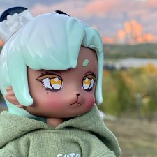 Цель по шагам