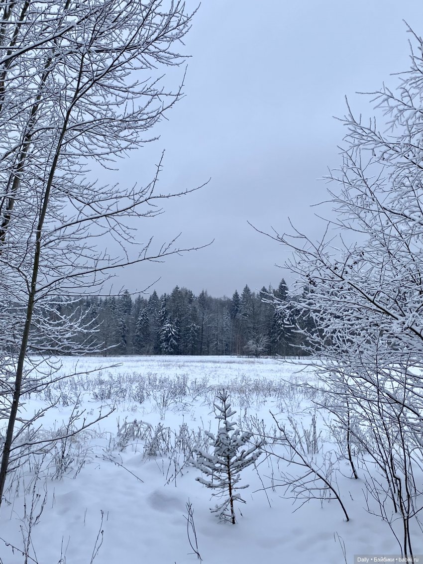 Снежные Годзиллы — Азиатские виниловые куклы (разное): Китай