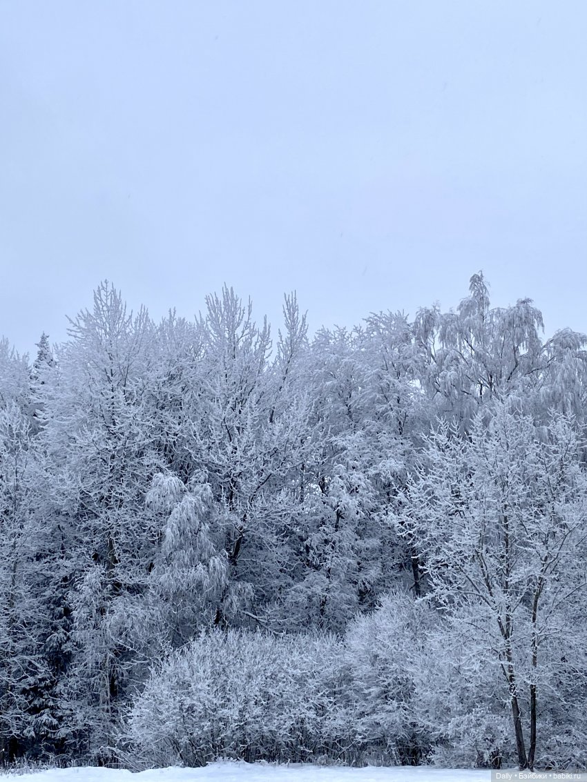 Снежные Годзиллы — Азиатские виниловые куклы (разное): Китай