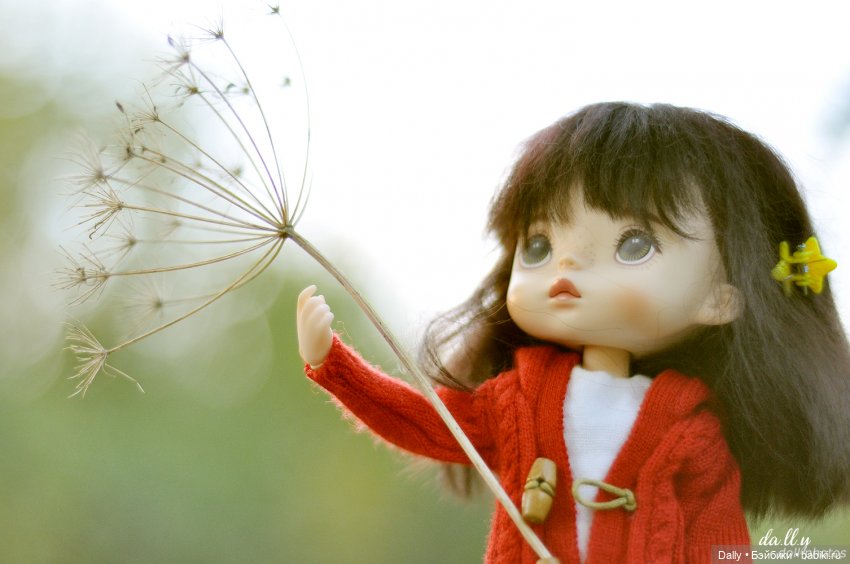 К белочкам — Гибридизация кукол BJD (БЖД): пересадка головы (фото 8)