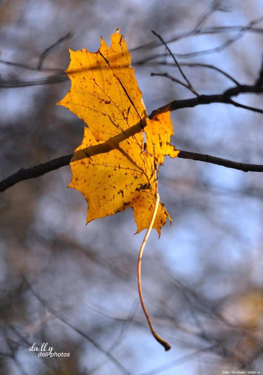 После Самайна — Куклы Fairyland (ФэйриЛэнд): BJD (БЖД)