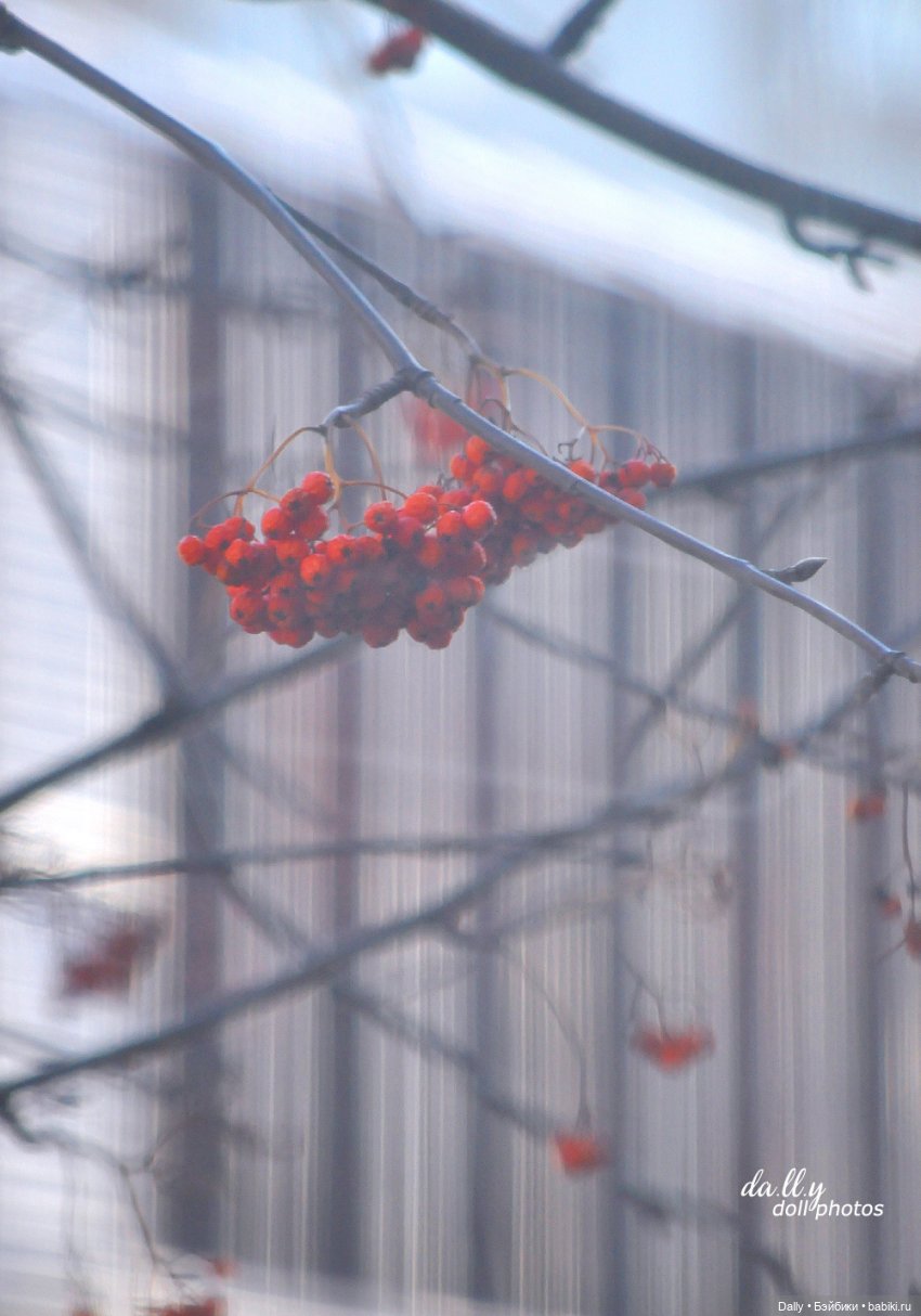 После Самайна — Куклы Fairyland (ФэйриЛэнд): BJD (БЖД)