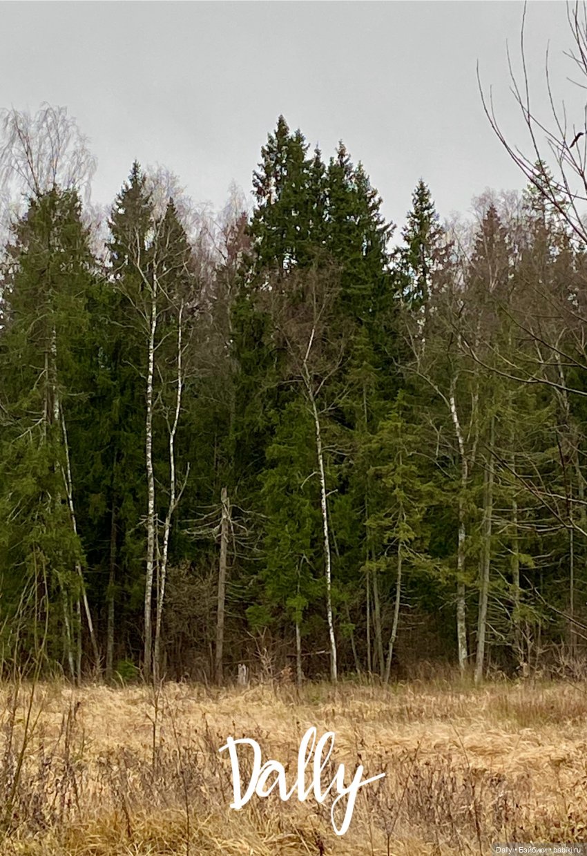 Предзимье — Куклы Milim Studio (Милим): российские БЖД