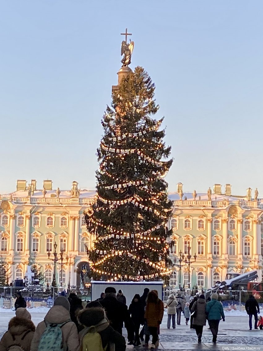 Коржик в Питере — Туризм и путешествия: фотоотчеты из поездок