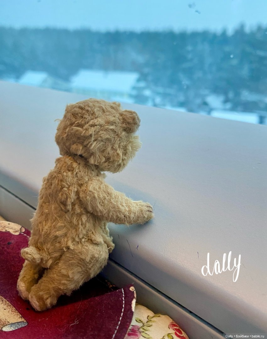 Коржик в Питере — Туризм и путешествия: фотоотчеты из поездок