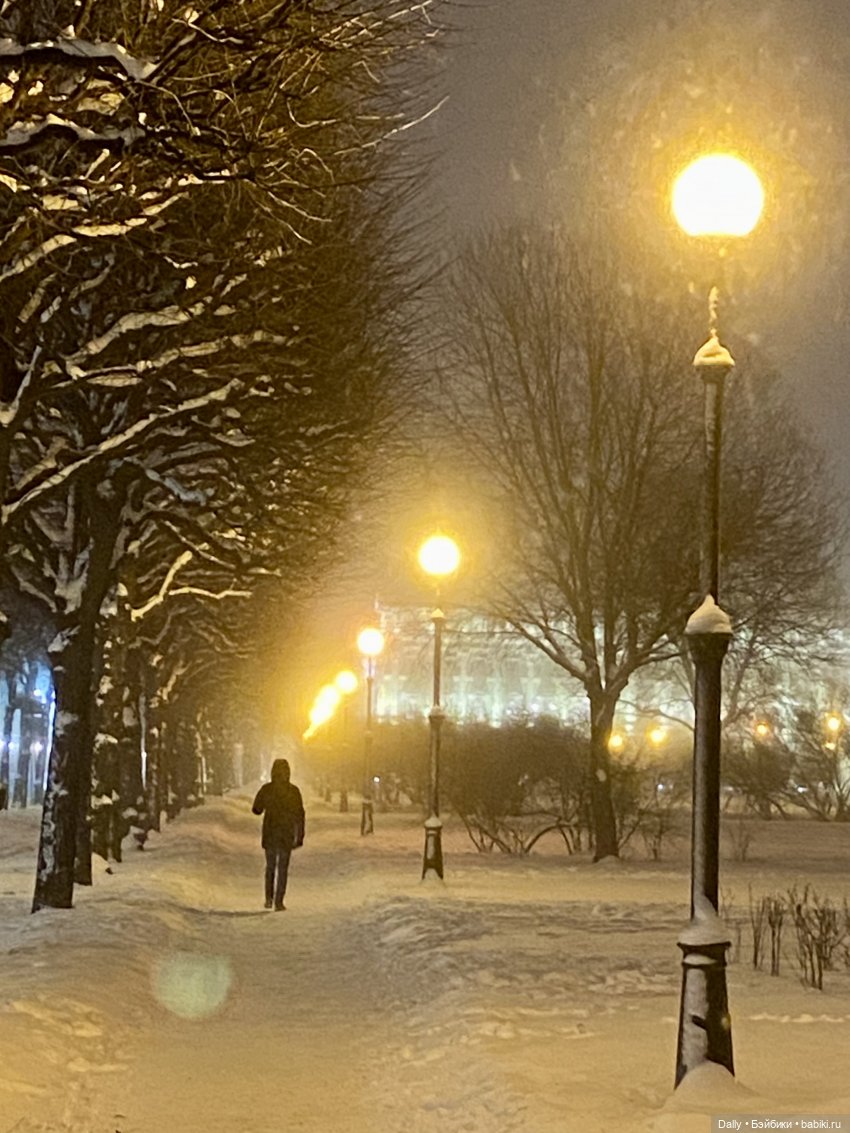 Коржик в Питере — Туризм и путешествия: фотоотчеты из поездок (фото 4)