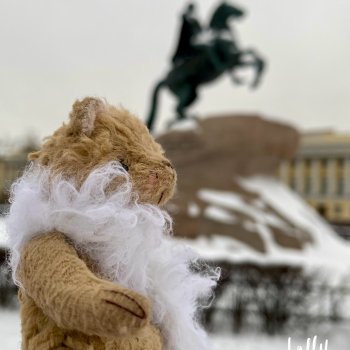 Коржик в Питере