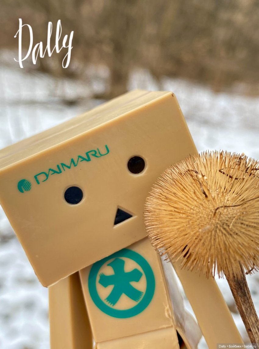 Китайский Danbo | Бэйбики Китайский Danbo — Коллекционные экшн (фото 4)