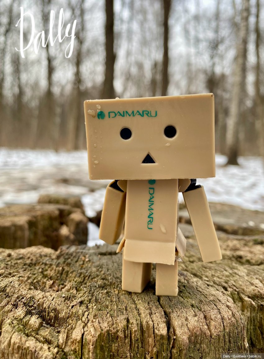 Китайский Danbo | Бэйбики Китайский Danbo — Коллекционные экшн (фото 6)