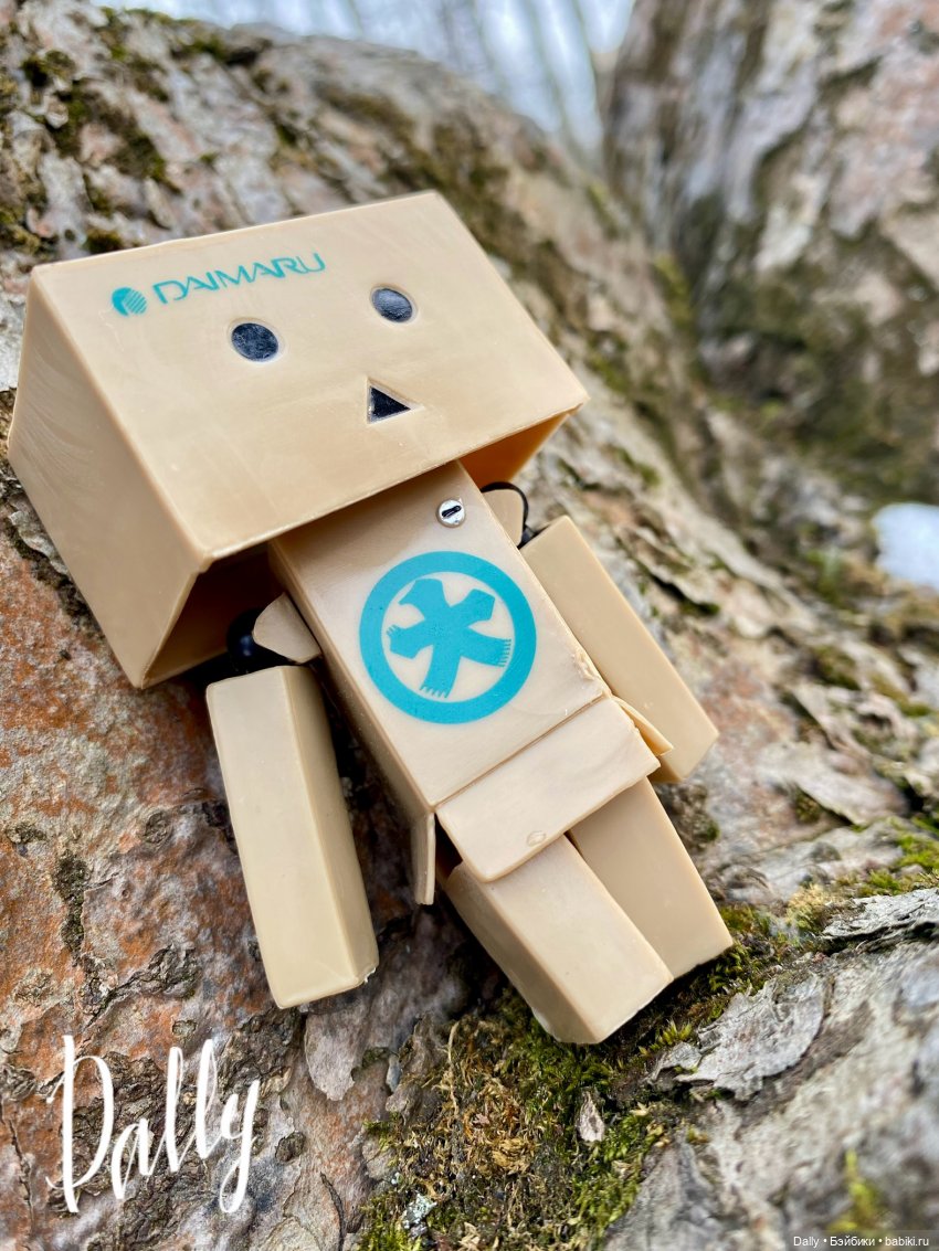 Китайский Danbo | Бэйбики Китайский Danbo — Коллекционные экшн (фото 2)