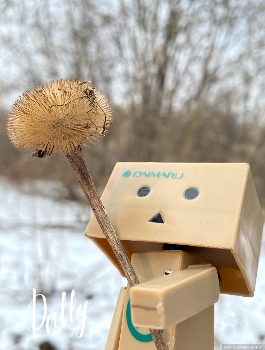 Китайский Danbo | Бэйбики Китайский Danbo — Коллекционные экшн (фото 5)