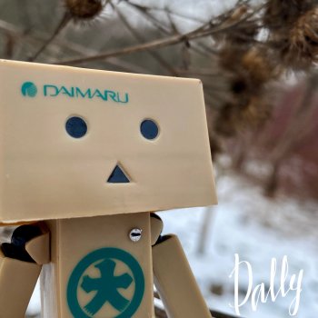 Китайский Danbo