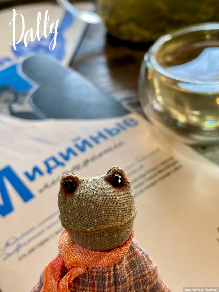 Лягушка и Петербург — Домашние фото авторских игрушек: Тедди (фото 5)