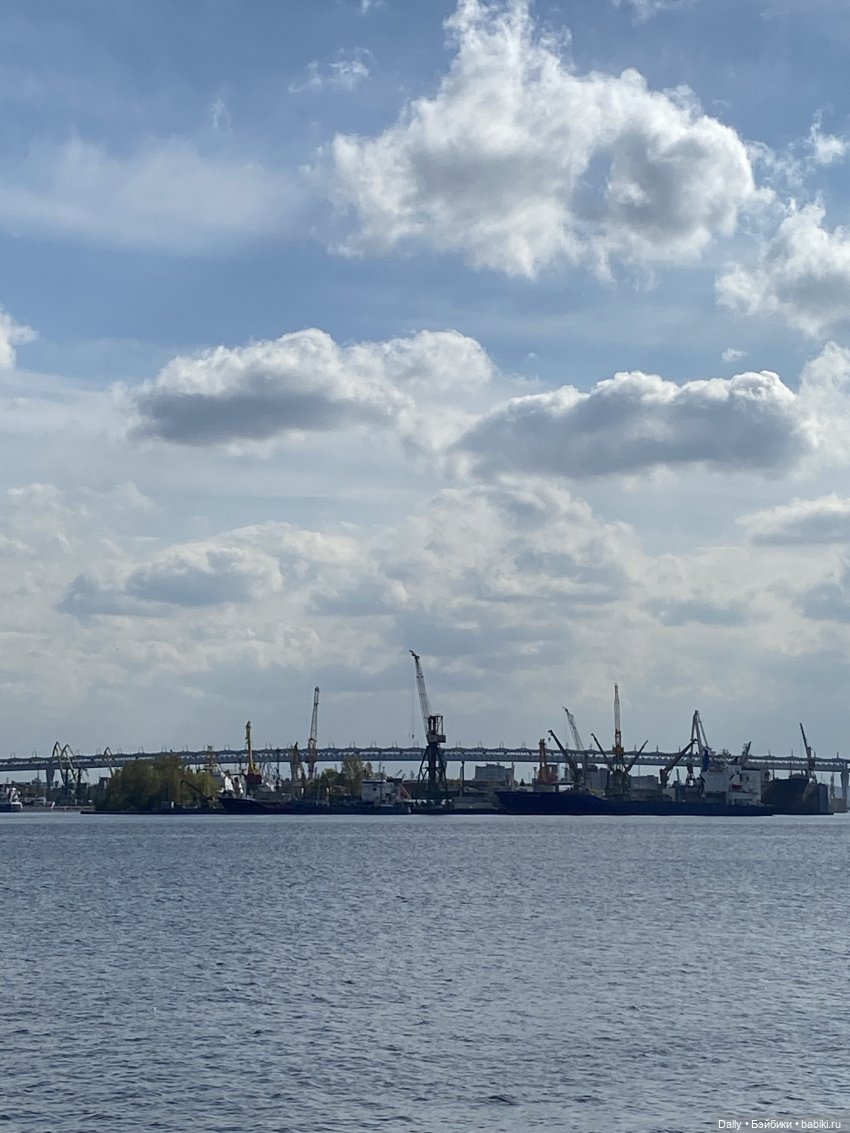 Лягушка и Петербург — Домашние фото авторских игрушек: Тедди (фото 3)