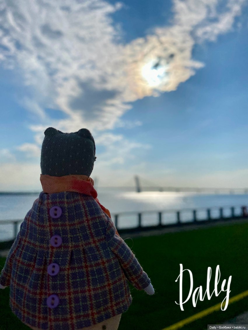 Лягушка и Петербург — Домашние фото авторских игрушек: Тедди (фото 6)