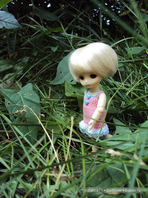 brownie Gogo, Peak`s Woods Woody