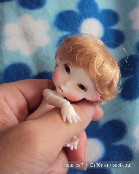 brownie Gogo, Peak`s Woods Woody