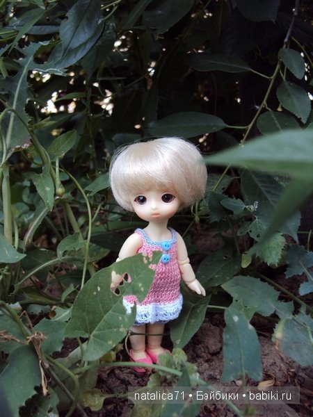 brownie Gogo, Peak`s Woods Woody