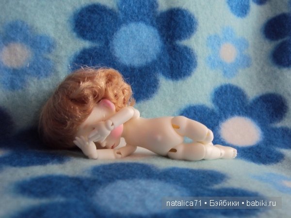 brownie Gogo, Peak`s Woods Woody