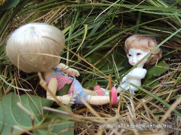 brownie Gogo, Peak`s Woods Woody