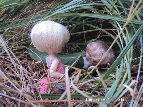 brownie Gogo, Peak`s Woods Woody