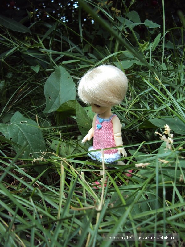 brownie Gogo, Peak`s Woods Woody