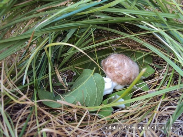 brownie Gogo, Peak`s Woods Woody