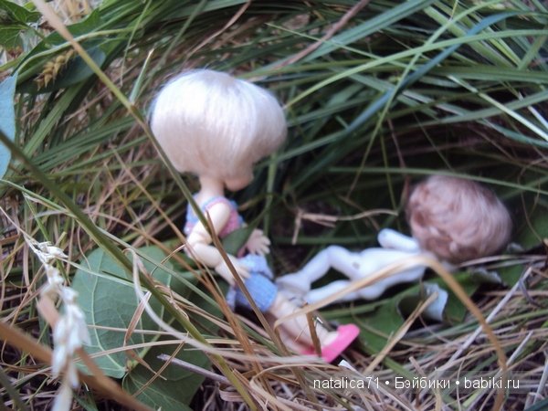 brownie Gogo, Peak`s Woods Woody