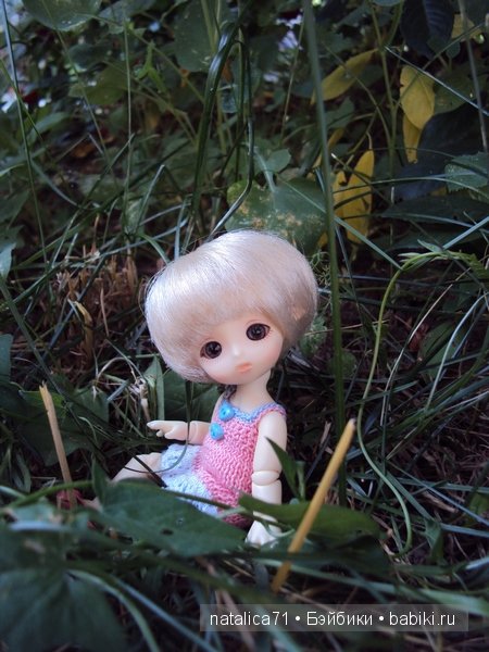 brownie Gogo, Peak`s Woods Woody