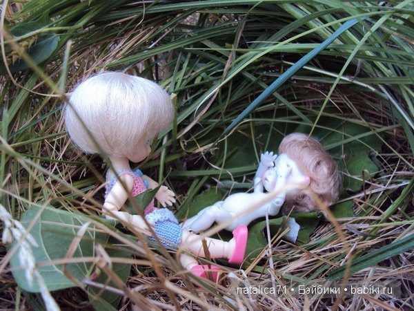 brownie Gogo, Peak`s Woods Woody