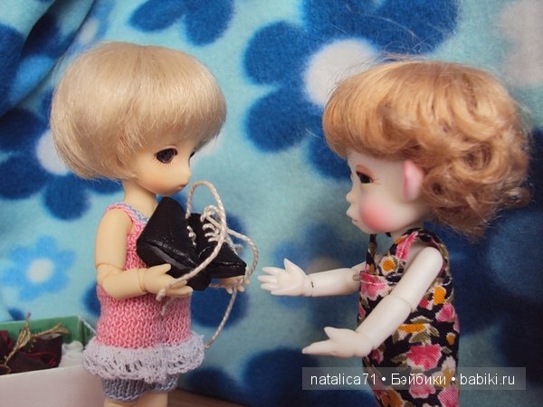 brownie Gogo, Peak`s Woods Woody