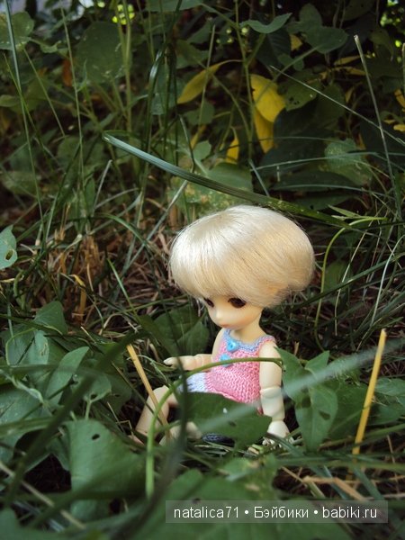 brownie Gogo, Peak`s Woods Woody